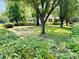 Landscaped front yard features mature trees and verdant green space offering a tranquil setting at 801 Talbot Circle, Myrtle Beach, SC 29577