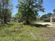 Spacious backyard showing ample space and some green foliage for outdoor activities and landscaping at 133 Thrush Ct., Georgetown, SC 29440