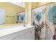 Bathroom featuring a white vanity, decorative mirror and butterfly-themed shower curtain at 200 53Rd Ave. N # 409, North Myrtle Beach, SC 29582