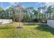 Spacious backyard with a young tree, green grass, privacy fence, and natural surroundings at 3672 White Wing Circle, Myrtle Beach, SC 29579