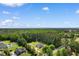 Spacious landscaped property featuring a charming home surrounded by lush greenery and a vast, picturesque woodland backdrop at 3926 Long Avenue Ext., Conway, SC 29527