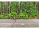 Lush backyard featuring a concrete patio, well-maintained landscaping, and peaceful wooded area at 4341 Grande Harbour Blvd., Little River, SC 29566