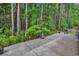 Lush backyard featuring a concrete patio, well-maintained landscaping, and peaceful wooded area at 4341 Grande Harbour Blvd., Little River, SC 29566
