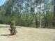 Backyard view of tall trees and green grass at 8719 Baton Rouge Ave Nw, Calabash, NC 28467