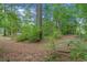 Secluded backyard with dense trees offering privacy and a natural setting at 100 Oak Leaf Dr., Longs, SC 29568