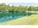 Picturesque pond with a sandy beach, grassy areas, and natural wildlife at 232 Palm Cove Circle, Myrtle Beach, SC 29588