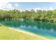 Scenic view of a beautiful pond featuring a fountain surrounded by lush trees at 232 Palm Cove Circle, Myrtle Beach, SC 29588