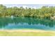 Scenic view of a beautiful pond featuring a fountain surrounded by lush trees at 232 Palm Cove Circle, Myrtle Beach, SC 29588
