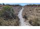 Discover a scenic beach path through natural vegetation leading to the shore at 407 24Th Ave. N # 302, North Myrtle Beach, SC 29582