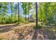 The backyard of the house is surrounded by lush trees at 6357 Highway 707, Myrtle Beach, SC 29588