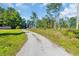 Gravel driveway leading up to a charming home nestled among lush trees and greenery at 6357 Highway 707, Myrtle Beach, SC 29588
