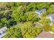 Aerial view of the tennis court surrounded by lush, green trees and nearby homes at 99 Berry Tree Dr., Pawleys Island, SC 29585