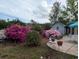 A lovely garden featuring a concrete patio, azaleas, and a detached garage or shed at 215 Lander Dr., Conway, SC 29526