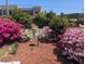 Mulched garden featuring azaleas and greenery with white garden furniture and a bird bath at 215 Lander Dr., Conway, SC 29526