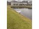 Backyard pond view features a swan with townhomes in the background and lush green grass at 238 Seabert Rd. # 238, Myrtle Beach, SC 29579