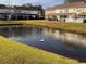 Backyard pond view features a swan swimming with townhomes in the background and lush green grass at 238 Seabert Rd. # 238, Myrtle Beach, SC 29579