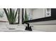 Close-up of a modern bathroom sink with black faucet, stylish mirror, and decorative aloe plant at 2615 Elowen Ln. # 109A, Longs, SC 29568