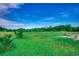 Expansive vacant lot featuring lush green grass and mature trees, perfect for building a dream home at 3148 Gause Rd., Loris, SC 29569