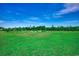 Large grassy vacant lot perfect for building a dream home in a peaceful, wooded setting at 3148 Gause Rd., Loris, SC 29569