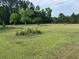 Large grassy backyard with mature trees lining the perimeter, offering privacy and shade at 3293 Schoolhouse Dr., Hemingway, SC 29554