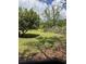Expansive backyard featuring lush greenery, mature trees, and a serene, park-like setting at 3293 Schoolhouse Dr., Hemingway, SC 29554