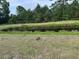 Scenic backyard with a small pond and lush greenery, creating a private and serene outdoor space at 3293 Schoolhouse Dr., Hemingway, SC 29554