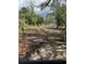 Vacant lot with mature trees, offering a secluded and private building opportunity at 3293 Schoolhouse Dr., Hemingway, SC 29554