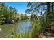 Picturesque pond surrounded by lush greenery, reeds and trees, offering a tranquil water view at 352 Old Carriage Loop, Georgetown, SC 29440