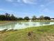 Scenic pond view with a charming fountain, surrounded by lush landscaping at 40 Little Peru Ct., Georgetown, SC 29440