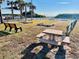 Community picnic area near the beach with picnic tables, benches, and palm trees at 6001 - 1864 S Kings Hwy., Myrtle Beach, SC 29575
