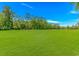 Expansive green lawn in a backyard setting with wooded borders and a blue sky at 1206 Spinnaker Dr., North Myrtle Beach, SC 29582