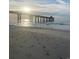 Scenic view of the beach and pier on a sunny day, showcasing beachfront access at 217 N Myrtle St. # 1, Myrtle Beach, SC 29577