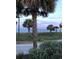 Picturesque beach with palm trees, vegetation and ocean view at 217 N Myrtle St. # 1, Myrtle Beach, SC 29577