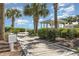 Scenic boardwalk leading to the beach, surrounded by lush greenery and palm trees at 5511 North Ocean Blvd. # 806, Myrtle Beach, SC 29577