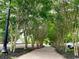 Charming tree-lined walkway offering a peaceful path with manicured landscaping and streetlights at 630 Heartwood Dr., Conway, SC 29526