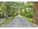Picturesque street lined with mature trees creating a canopy over the roadway at 80 Landing Dr. # 80, Pawleys Island, SC 29585