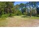 Expansive backyard showcasing mature trees, lush greenery and palm tree at 152 Gateway Dr., Little River, SC 29566