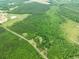 The property includes forested areas, providing a natural backdrop and sense of seclusion at 2776 Holly Rd., Marion, SC 29571