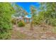 Lush backyard featuring a serene setting and stone pathways at 930 S Marlin Circle, Murrells Inlet, SC 29576