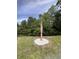 Palm tree in circular flower bed with white rock ground cover and grass at 1659 Sw Beach Dr., Sunset Beach, NC 28468