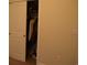 Bedroom closet with a sliding door and filled with storage at 224 Fishburn Dr., Conway, SC 29526