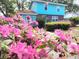 Inviting home exterior with vibrant pink azaleas blooming in the landscaped front yard at 715 9Th Ave. S, Surfside Beach, SC 29575