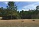 Expansive backyard with mature trees and lush greenery, perfect for outdoor activities at 4949 Southgate Pkwy., Myrtle Beach, SC 29579