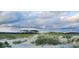 Scenic view of sand dunes with native grasses, trees and cloudy skies creating a peaceful and serene ambiance at 1221 Tidewater Dr. # 2811, North Myrtle Beach, SC 29582