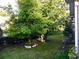 Green backyard space with meticulously maintained landscaping, featuring charming trees and verdant lawn at 131 Goodale Dr., Longs, SC 29568