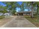 Lovely one-story brick house featuring an ample driveway and a beautifully landscaped front yard at 2519 Reta St., Conway, SC 29526
