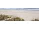 Expansive beach with gentle waves and natural vegetation on the dunes at 304 North Ocean Blvd. # 506, North Myrtle Beach, SC 29582