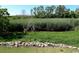 Green backyard with reeds and a stone wall at 329 Kauffman St., Georgetown, SC 29440