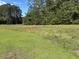 Expansive field of tall grass and green trees beneath a clear sky at 444 Davis Rd., Hemingway, SC 29554