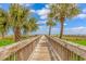 Wooden boardwalk leading to the beach with lush greenery and palm trees on either side at 5300 N Ocean Blvd. N # 1120, Myrtle Beach, SC 29577